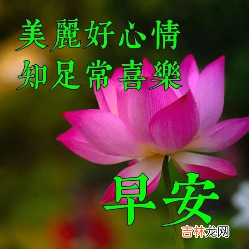 5篇 暖心简短早安语录,早上好暖心的句子简短