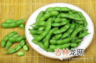 黄豆与毛豆区别在哪,大豆毛豆黄豆的区别
