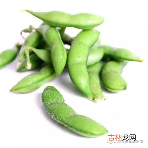 黄豆与毛豆区别在哪,大豆毛豆黄豆的区别