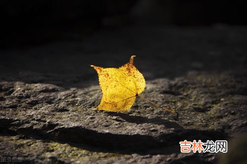 释然和释怀的区别,释然和释怀怎么理解这两个词