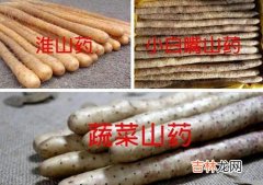 铁棍山药发芽了以后还能吃吗,铁杆山药发芽还能吃吗