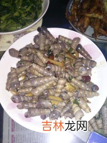钉螺尾巴那部分可以吃吗,钉螺尾巴那部分可以吃吗?