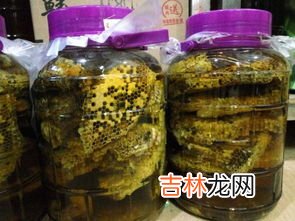 女人能喝马蜂酒吗,女人喝黄蜂酒的功效与作用