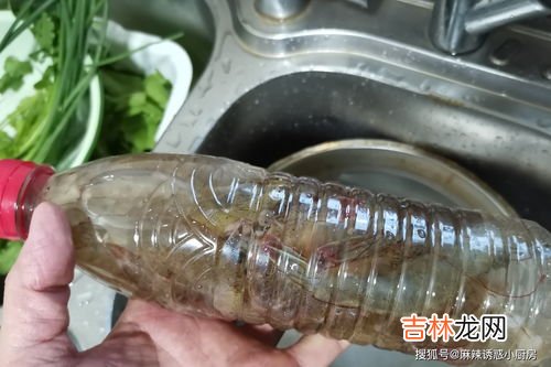 活虾能直接冻起来吗,活虾能直接放冰箱吗？