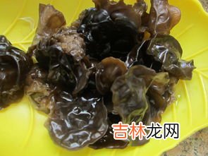 木耳青菜虾皮包怎么做,虾皮小白菜素包子的做法步骤图，怎么做好吃