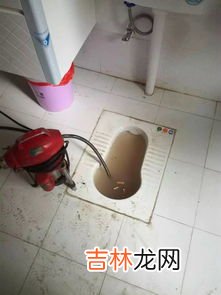 手机掉厕所里怎么去臭,我的手机掉厕所了插在屎上了,怎么能去掉臭味