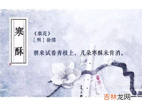 雪在古代的雅称有什么,雪在古代的雅称