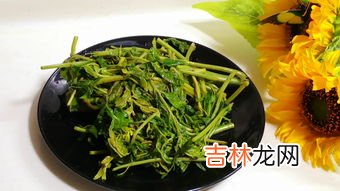 焯水香椿放冰箱一年还能吃吗,香椿焯水隔夜可以吃吗