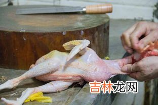 鲤鱼杀了后冷冻还是冷藏,鱼杀了放冷冻还是冷藏