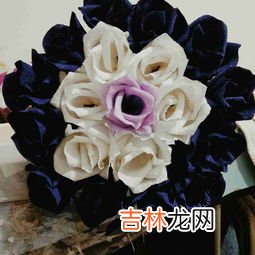 玫瑰干花多少钱一斤,干花价格与制作工艺介绍