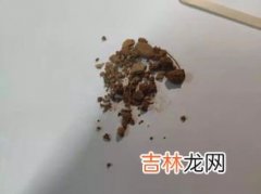 土可以吃吗,土究竟能不能吃?