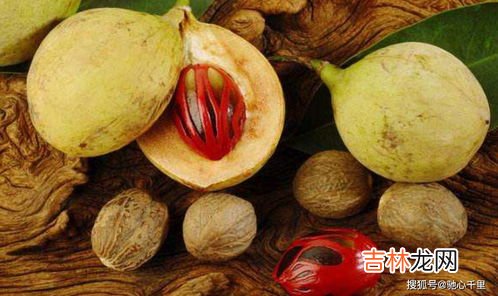 草果要不要去籽,制作油辣子使用草果用不用去籽?