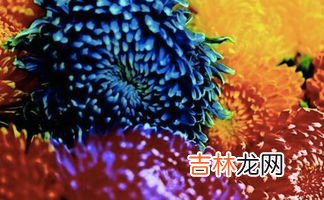 蓝海和红海的区别,商界的红海蓝海是什么意思？