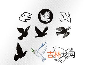 和平鸽的象征和寓意,和平鸽的寓意