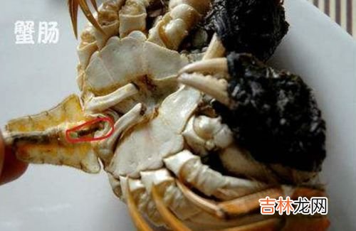 公螃蟹里面的白色胶状物是什么,公螃蟹里面的白色胶状物是什么