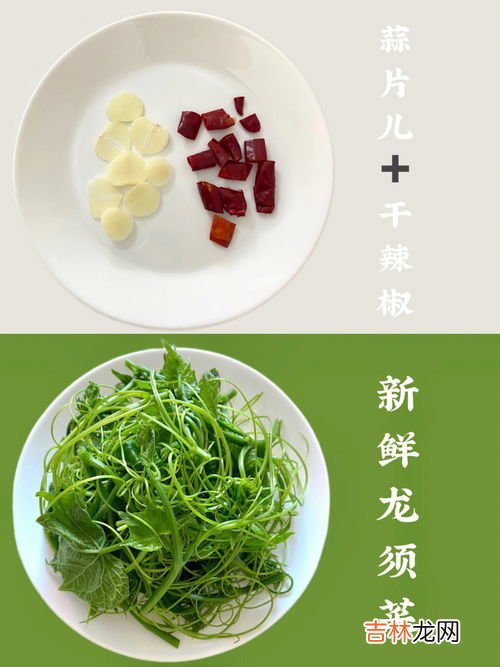 龙须菜的营养价值,龙须菜的营养成分