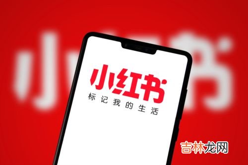 小红书自定义标签怎么没了,小红书更新后没有分类了