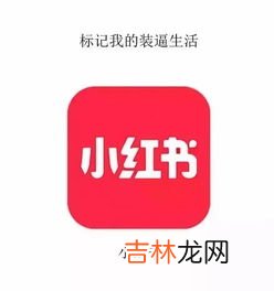 小红书自定义标签怎么没了,小红书更新后没有分类了
