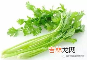 芹菜可以生吃吗,芹菜能生吃吗 芹菜生吃要焯水吗