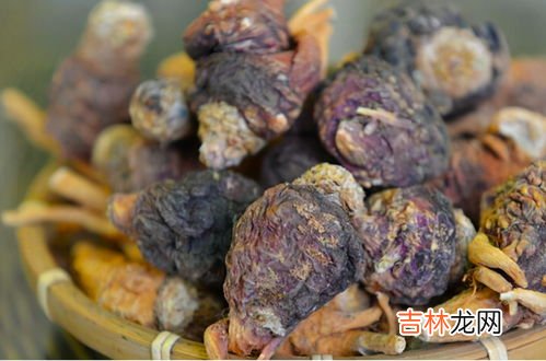 玛咖的功效,玛咖功效