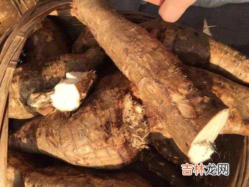 葛根的十大功效,葛根的六大功效 每一种都很养人