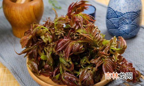 香椿腌制多久可以吃,香椿腌制多久可以吃？香椿腌多长时间能吃？