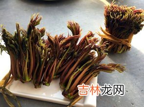香椿腌制多久可以吃,香椿腌制多久可以吃？香椿腌多长时间能吃？