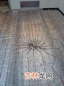 碳纤维有哪些用途,碳纤维的用途