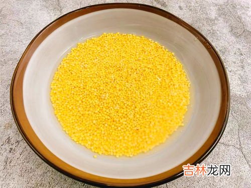茯苓块怎么煮粥,干茯苓块煮粥前泡多久