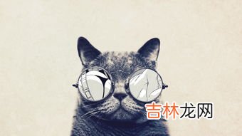 有眼无珠猜一个动物,有眼无珠是什么生肖