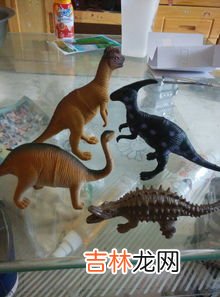 袋鼠的特点和爱好是什么,袋鼠的特点
