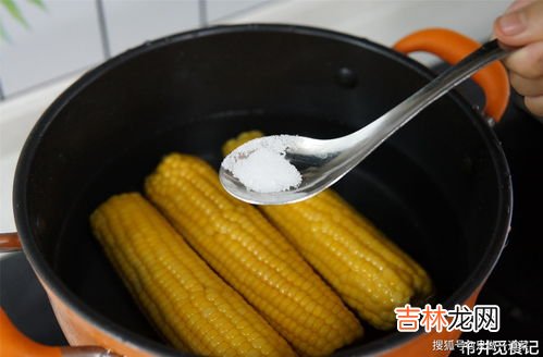 玉米煮10分钟能煮熟吗,煮玉米多久能煮熟?