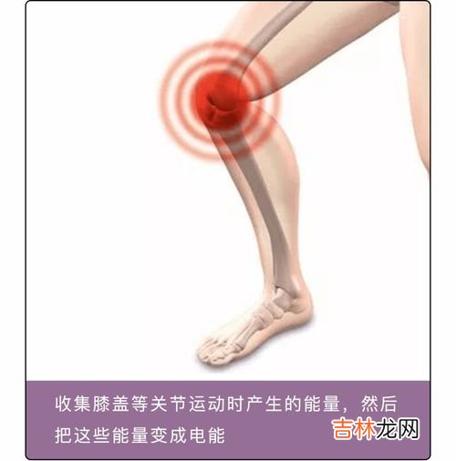 为什么不能抖腿,为什么很多人都劝我不要抖腿？