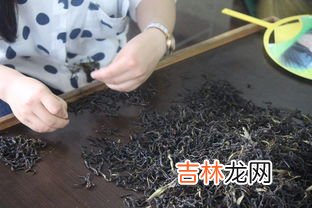 大乌叶是什么茶,大乌叶有点苦涩怎么处理