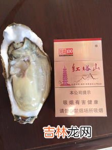 牡蛎虫草片价格,瑞选优品牡蛎虫草片怎么样？