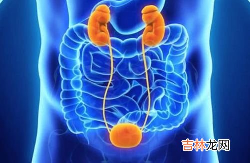 吃小分子肽上火的原因,小分子大豆肽为什么吃了会上火？