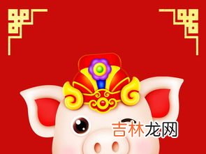 2019年猪年是金猪吗,明年是金猪年吗 你想要的答案在这里？
