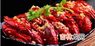 龙虾寿命是永久的吗,龙虾的寿命是多久？