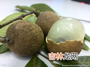 龙眼一天能吃多少,龙眼肉可以多吃吗 龙眼肉一天吃多少合适