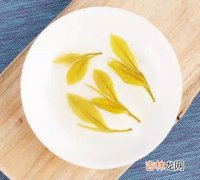 黄金芽保质期一般多久,黄金叶茶茶树品种是特早生种吗