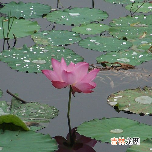 24小时计时法,24计时法是什么?
