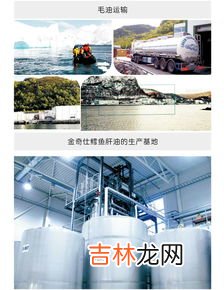 金奇仕鳕鱼甘油怎么样,宝宝补鱼肝油什么牌子好