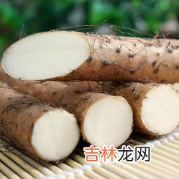 山药是什么,山药是什么