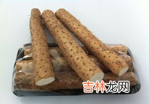 山药是什么,山药是什么