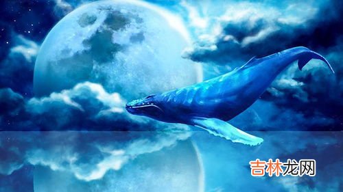鲸落的爱情含义,鲸落爱情的含义 鲸落在爱情里的寓意