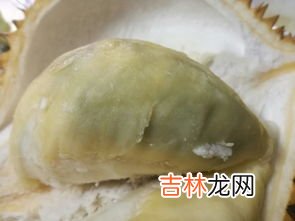 榴莲肉硬的是怎么回事,榴莲肉硬是怎么回事?