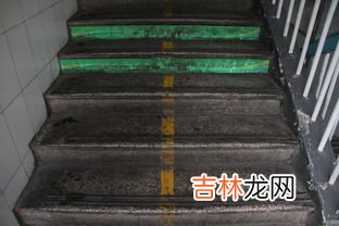 左上右下 在上下楼梯时应坚持的原则是,为避免学生上下楼梯发生拥挤,上下楼梯应遵守原则吗