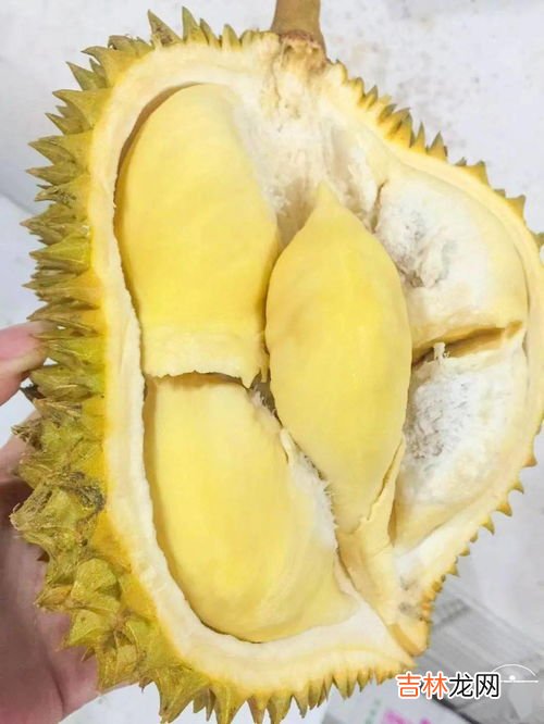 榴莲甜的有点苦怎么回事,榴莲有一点苦怎么回事