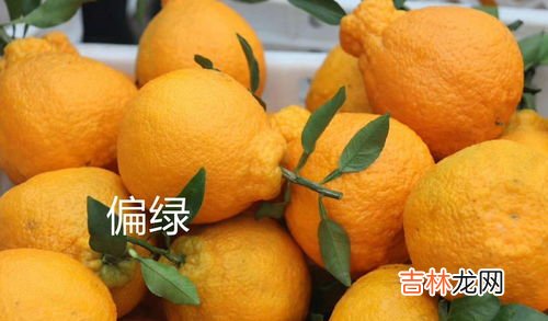 耙耙柑跟橘子的区别是什么,耙耙柑是橙子还是橘子 耙耙柑是不是就是丑橘