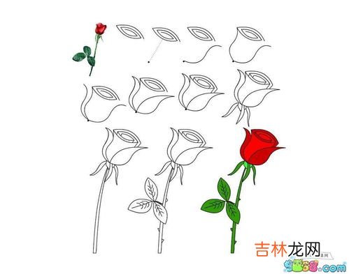 玫瑰怎么画,玫瑰花的画法20步